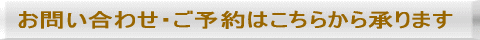 BIZTEL �E�F�u�d�b